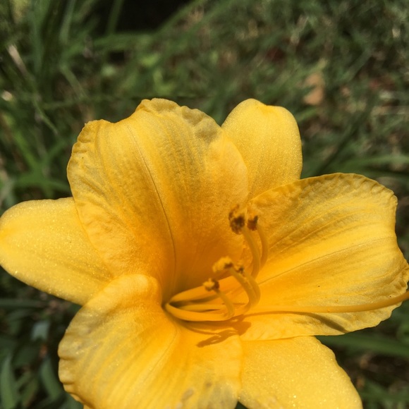 posh_user18